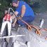 WhatsApp Image 2024-07-04 at 09.36.20 (1).jpeg - Gorod48.ru