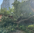 97955A47-2D54-4852-8F2D-FA58FA81474C.jpeg%2B2024-07-04-17.53.01.jpg - Gorod48.ru