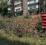 D480ECE5-8035-41B6-9E74-4990A2E830E4.jpeg - Gorod48.ru