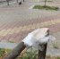 IMG-20240729-WA0107.jpg+2024-07-29-16.17.01.jpg - Gorod48.ru