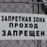 Мигранты в Артеме, чтобы избежать выдворения из России, напали на полицейских - Lipetsk.Sm.News
