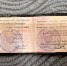 13256E95-2CC5-47DD-AD15-A7DF41E0A1F2.jpeg+2024-08-13-11.36.06+niz.jpg - Gorod48.ru