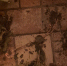 ed7b0ef6-9164-46e9-9565-97517e40e314.jpg - УМВД Липецкой области