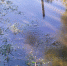 389E1E3B-C1AE-4C28-9C8B-4DD0C5020080.jpeg+2024-09-09-09.57.34.jpg - Gorod48.ru