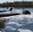 бурление.jpg+2024-09-16-09.22.05+niz.jpg - Gorod48.ru
