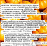 В Липецке состоится фестиваль «Тыквенная каша» - Город Липецк