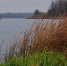 C 15 ноября для рыбаков-любителей вводятся запреты - Gorod48.ru