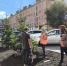 «Зеленхозу» осталось посадить 163 дерева в Липецке - Gorod48.ru
