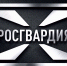 Липчане за неделю добровольно сдали 5 единиц оружия - Росгвардия