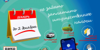 Жителям Липецка нужно до 2 декабря нужно оплатить налоги - Город Липецк