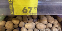Это точно выгодно: отечественный картофель по 67 рублей 19 копеек? - Gorod48.ru