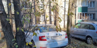 Липецкие автолюбители пополнили городскую казну на 1,5 млн рублей за неправильную парковку - МОЁ! Липецк