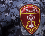 Росгвардия обеспечила безопасность проведения старта второго сезона Мультиспортивной десткой лиги «Фестиваль ГТО»