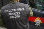 За посты с нацистской символикой на жительницу Липецкой области завели уголовное дело