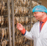 Контроль безопасности продукции на рыбоперерабатывающих предприятиях - Управление ветеринарии