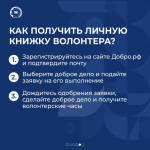Как становятся волонтерами? Где нужна их помощь?