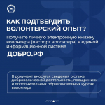 Как становятся волонтерами? Где нужна их помощь?
