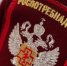 Роспотребнадзор инициировал расследование по факту отравления липецкой семьи пиццей и роллами - МОЁ! Липецк