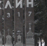 Трое мужчин осквернили вечный огонь в Клину - Gorod48.ru