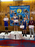 Результаты первенства области по вольной борьбе