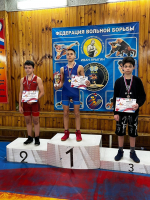 Результаты первенства области по вольной борьбе