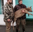 В Задонском районе спасли косулю, запутавшуюся в сетке-рабице - Gorod48.ru