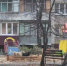 Свора бездомных собак оккупировала несколько дворов в Липецке и не дает житья горожанам - МОЁ! Липецк