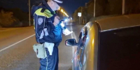 В прошедшие праздники липецкие автоинспекторы задержали на дорогах области почти сорок нетрезвых за рулем - УМВД Липецкой области