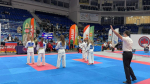 Липецкие спортсмены победители и призёры чемпионата и первенства ЦФО по киокушин