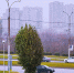 В Липецкой области небольшой снег и до +4 - Gorod48.ru