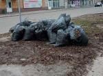 В Липецке состоится первый субботник