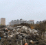 Из Липецка до конца года по контракту вывезут 21,1 тысячи тонн мусора - Gorod48.ru
