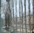 d36c9f17-4ca6-4f99-8639-d2d9ccb48821.jpg - Gorod48.ru