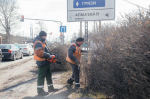 Сегодня сотрудники «Зеленхоза» приступили к опиловке кустарников на улице З. Космодемьянской
