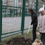 На улице Водопьянова в Липецке прошел зеленый субботник - Город Липецк