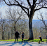 DSC0154012.jpg - Gorod48.ru