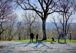 DSC0154012.jpg