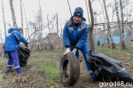 Металлурги Новолипецкого комбината провели серию субботников «Зеленая весна»