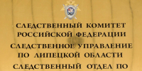 Липецкая вечЁрка: труп с огнестрельным ранением, избитая девочка и изгрызенный автомобиль - Gorod48.ru