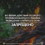 На территoрии региoна введён особый противопожарный рeжим!