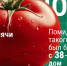 Лидером по производству тепличных овощей стала Липецкая область - LipetskMedia.Ru