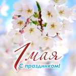 Поздравление с праздником Весны и Труда
