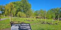 «Сирень Победы»: в Нижнем парке Липецка заложена аллея в честь судей-фронтовиков - Советский районный суд