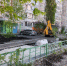 На проспекте Победы «убивают» деревья - Gorod48.ru