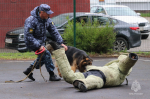 В преддверии Дня Победы в Главном управлении прошло патриотическое мероприятие для детей