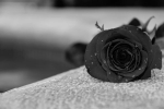 На 95-м году жизни скончалась вдова режиссера Леонида Гайдая актриса Нина Гребешкова