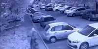 В Липецке раскрыли кражу велосипеда - МОЁ! Липецк