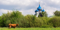 В Госдуму внесли проект об освобождении пенсионеров от налога на садовые дома - МОЁ! Липецк