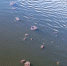 28303d88-6336-410c-aab3-f5bb47379f09.jpg+2025-05-27-11.17.34+niz.jpg - Gorod48.ru