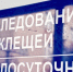 Почти две тысячи человек пострадали в Липецкой области от укусов клещей - Gorod48.ru